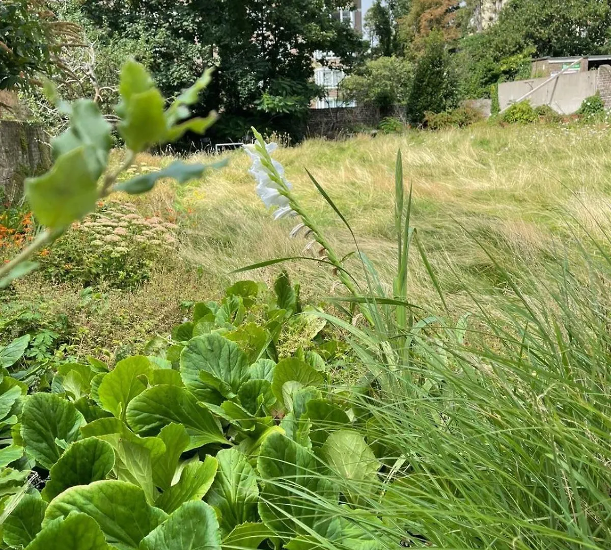 شقة 3 Garden Flat - Hove - Prime Location - Onsite Parking برايتون